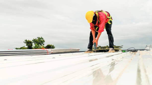 Steel Roofing in Lawtell, LA