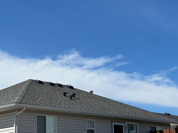 Best Roof Maintenance and Cleaning  in Wtell, LA